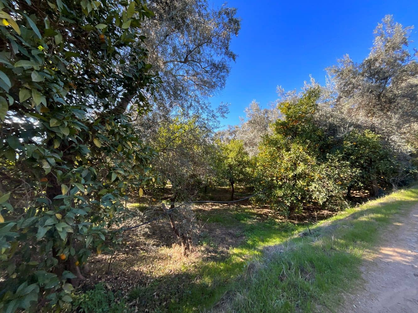 Undeveloped Land for sale in Beznar - € 76,000 (Ref: 9588069)