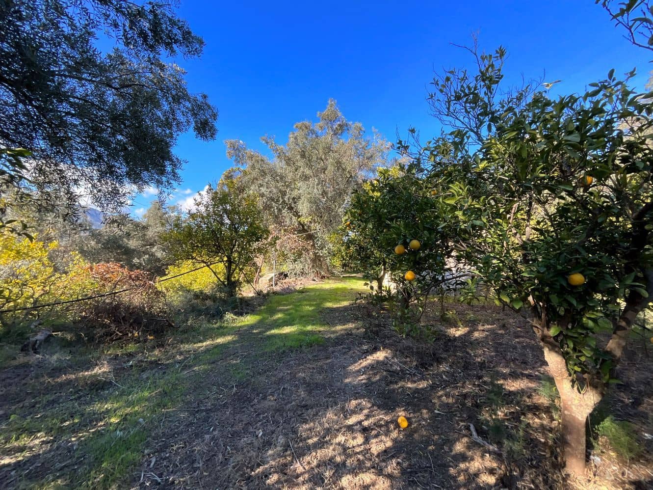 Undeveloped Land for sale in Beznar - € 76,000 (Ref: 9588069)