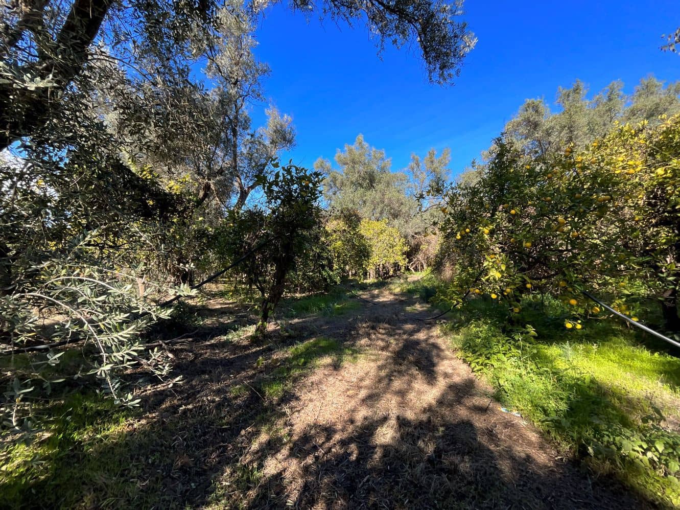 Undeveloped Land for sale in Beznar - € 76,000 (Ref: 9588069)