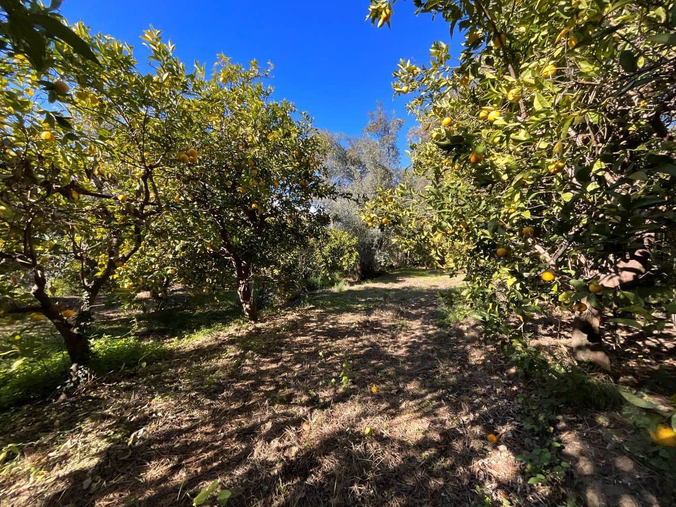 Undeveloped Land for sale in Beznar - € 76,000 (Ref: 9588069)