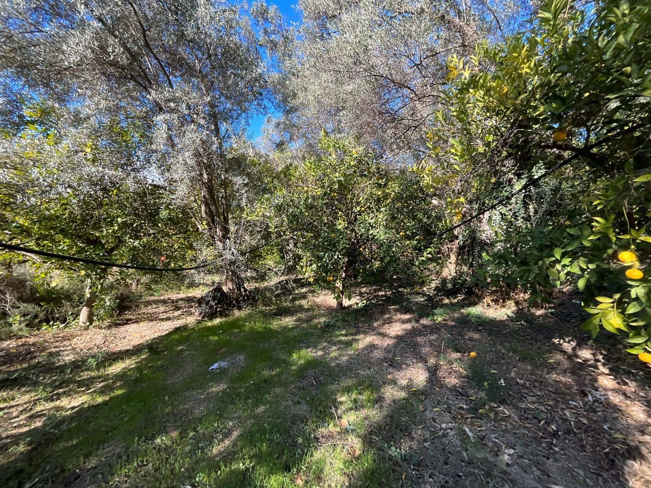 Undeveloped Land for sale in Beznar - € 76,000 (Ref: 9588069)