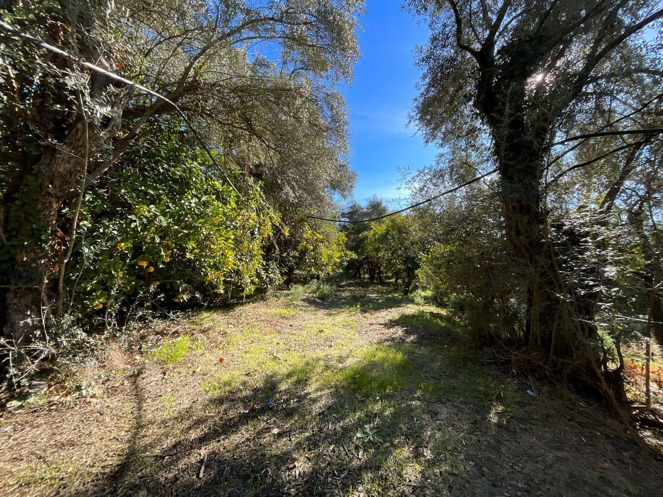 Undeveloped Land for sale in Beznar - € 76,000 (Ref: 9588069)