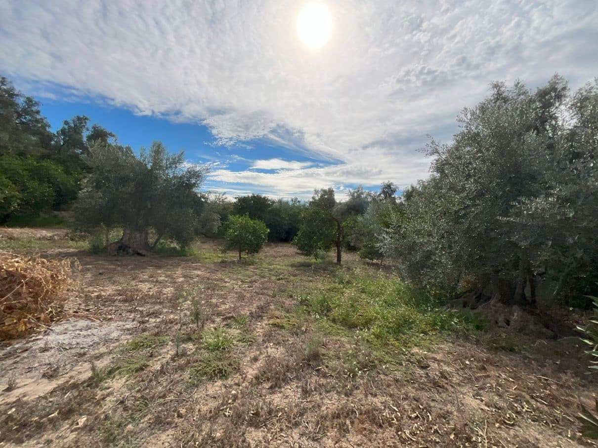 Landgrundstück zu verkaufen in Chite - 18.000 € (Ref: 9588074)