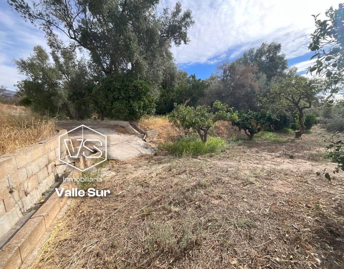 Landgrundstück zu verkaufen in Chite - 18.000 € (Ref: 9588074)