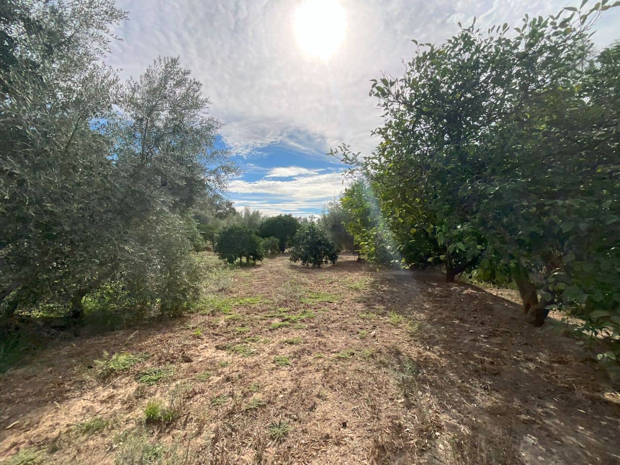 Landgrundstück zu verkaufen in Chite - 18.000 € (Ref: 9588074)