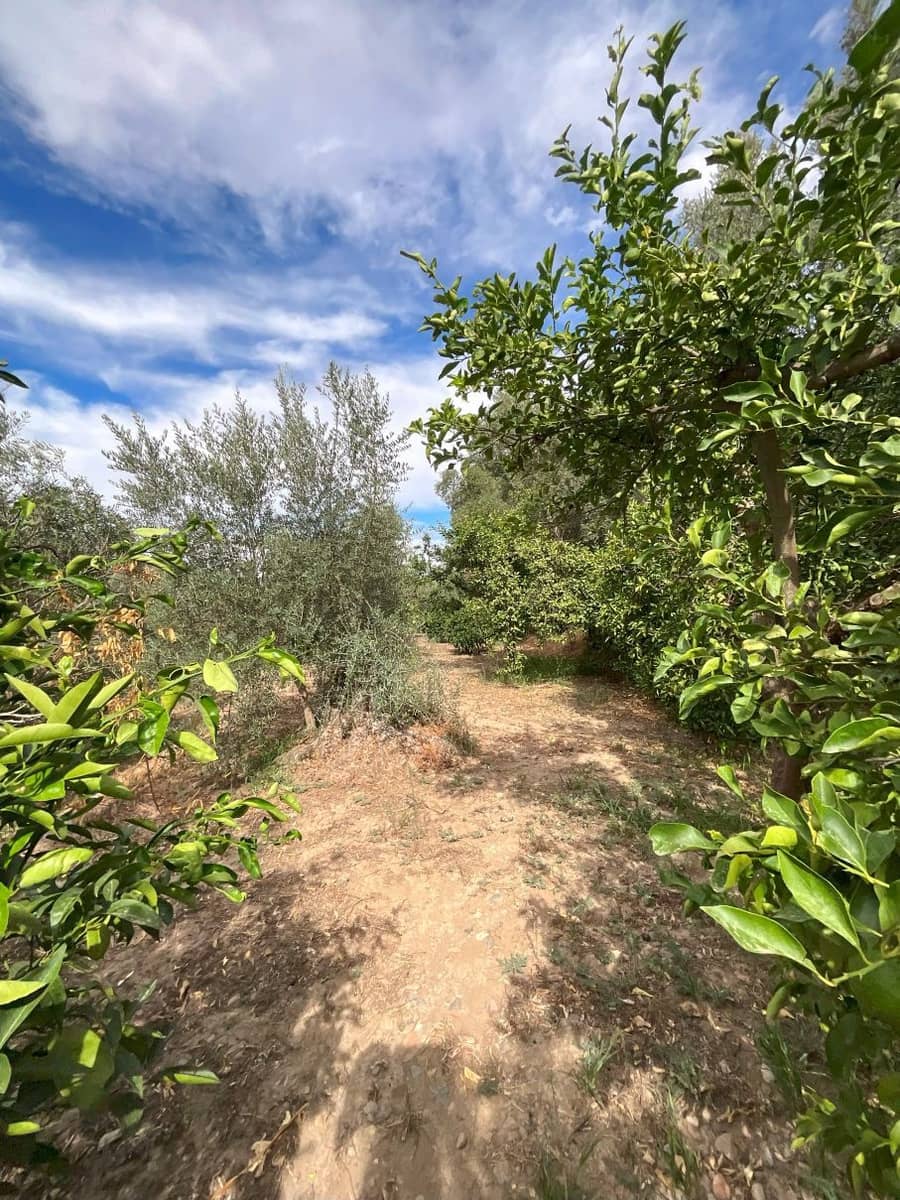 Landgrundstück zu verkaufen in Chite - 18.000 € (Ref: 9588074)