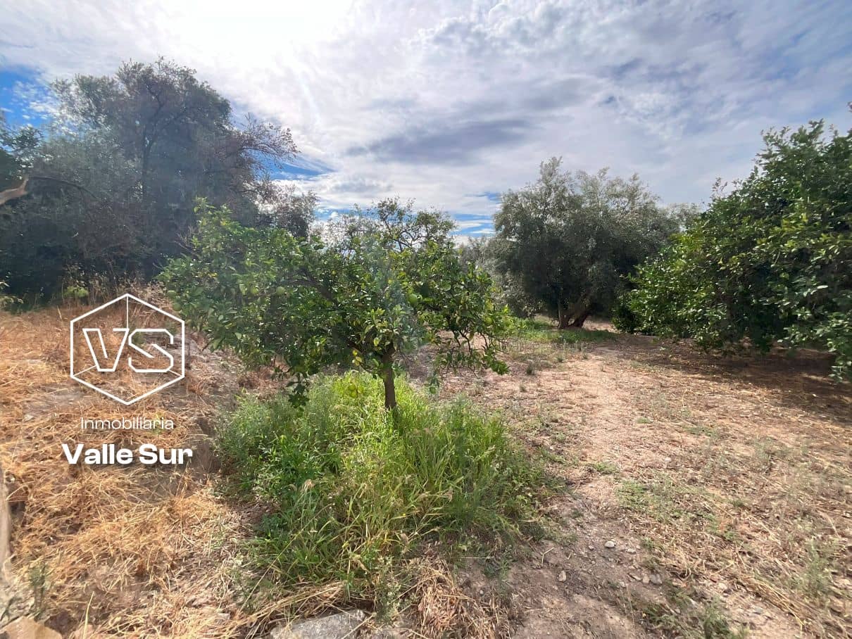 Landgrundstück zu verkaufen in Chite - 18.000 € (Ref: 9588074)