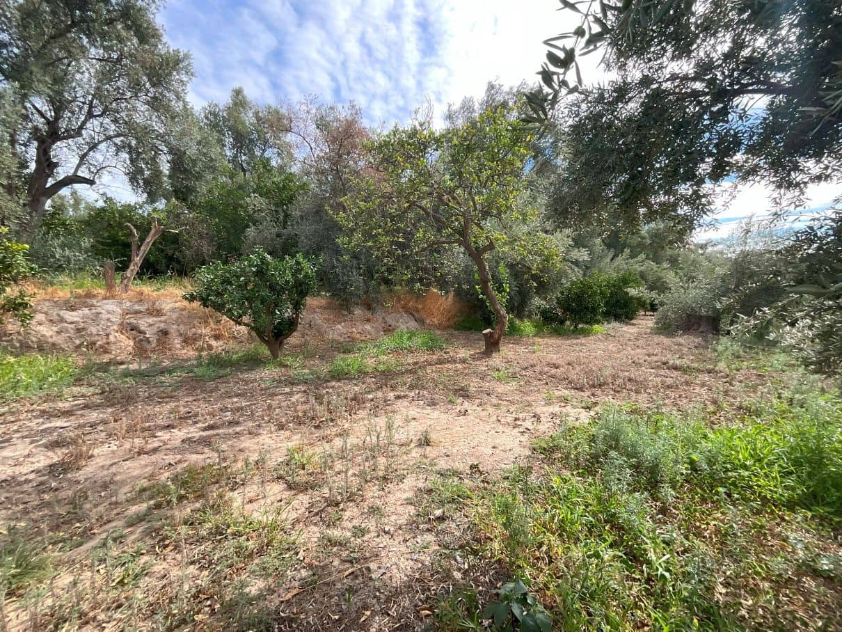 Landgrundstück zu verkaufen in Chite - 18.000 € (Ref: 9588074)