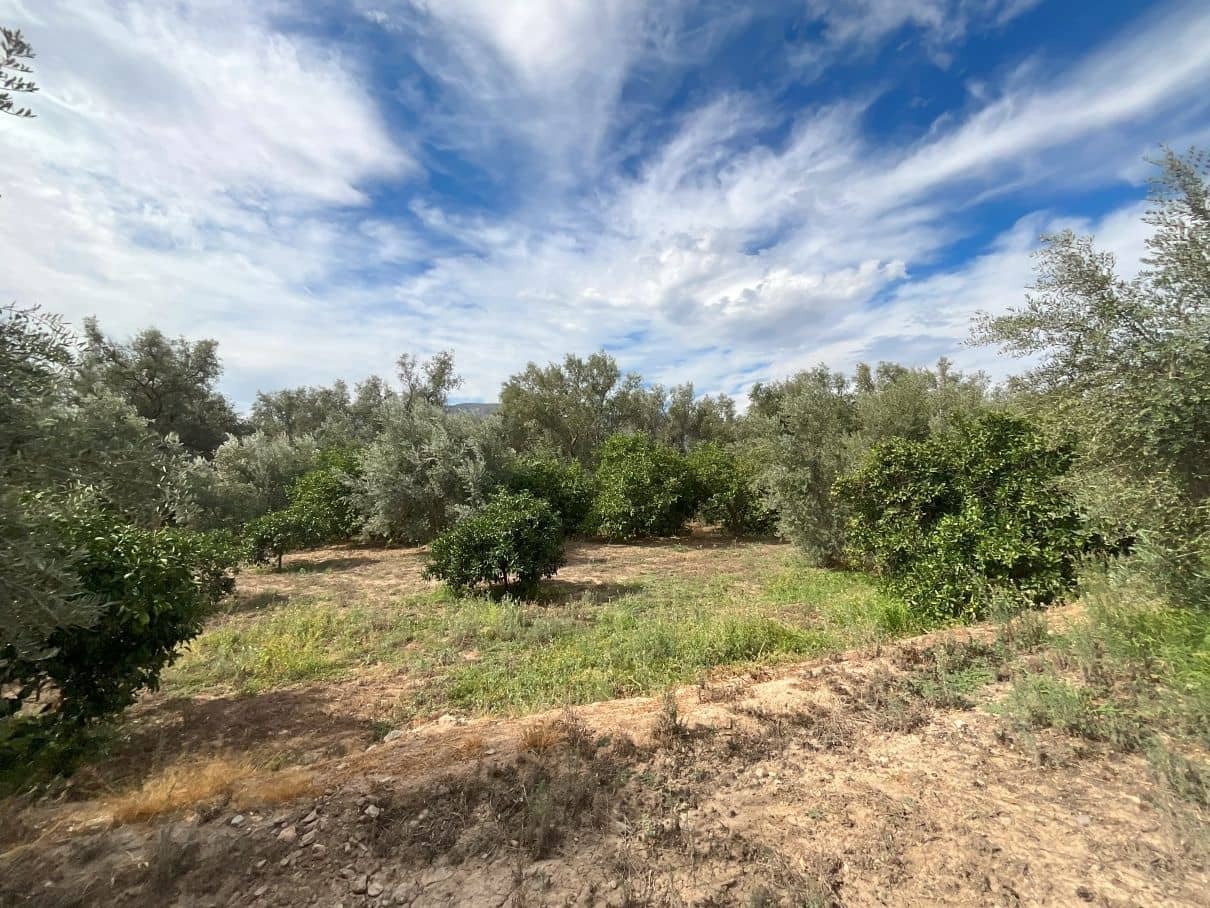 Landgrundstück zu verkaufen in Chite - 18.000 € (Ref: 9588074)