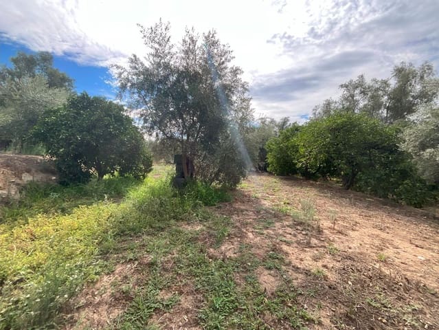 Grunde uden byggetilladelser til salg i Chite, Lecrín - € 18.000 (Ref: 9588074)