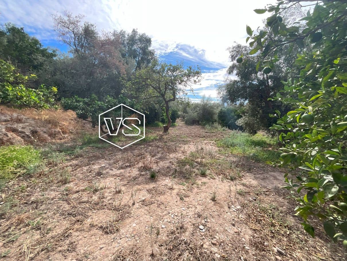 Landgrundstück zu verkaufen in Chite - 18.000 € (Ref: 9588074)