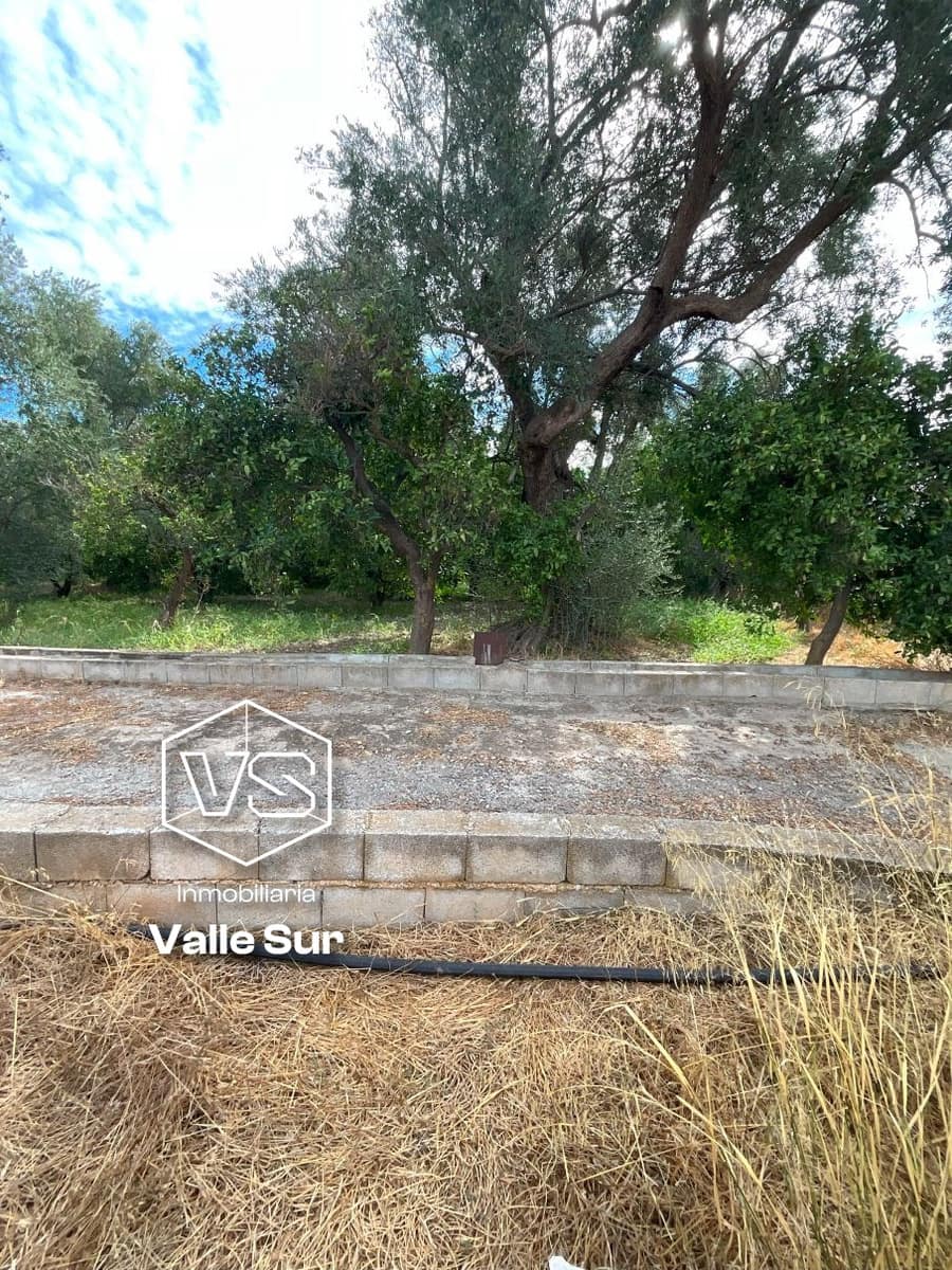Landgrundstück zu verkaufen in Chite - 18.000 € (Ref: 9588074)