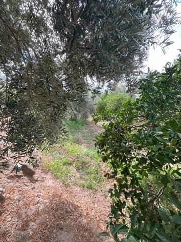 Grunde uden byggetilladelser til salg i Chite, Lecrín - € 18.000 (Ref: 9588074)