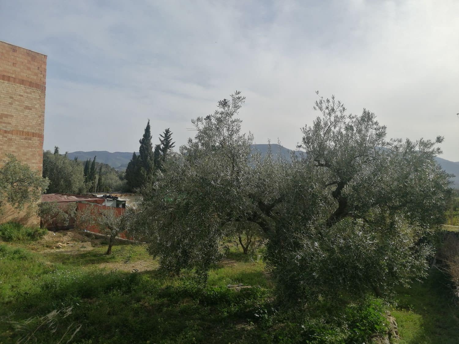 Grunde uden byggetilladelser til salg i Talara - € 39.000 (Ref: 9588078)