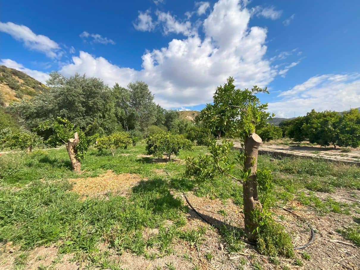 Undeveloped Land for sale in Restabal - € 16,900 (Ref: 9588081)