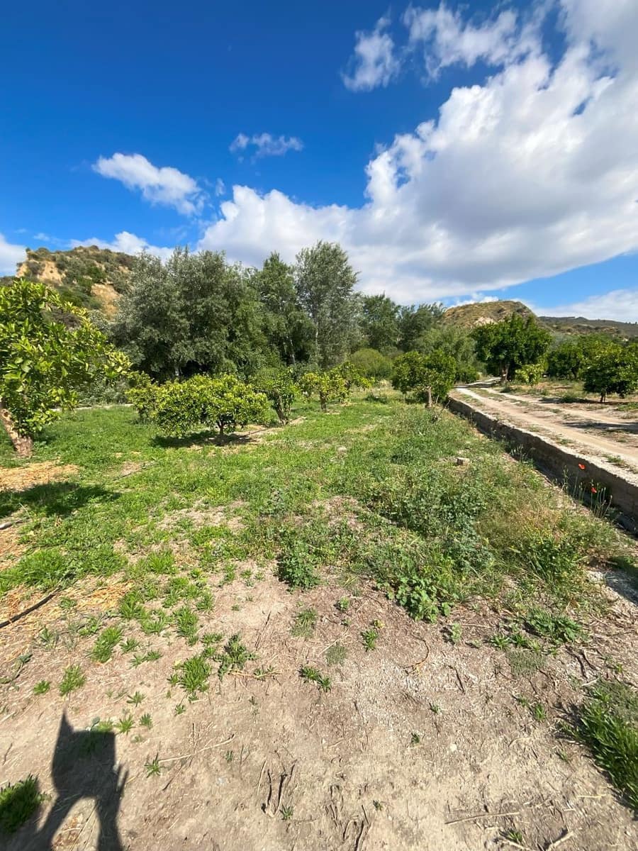 Undeveloped Land for sale in Restabal - € 16,900 (Ref: 9588081)