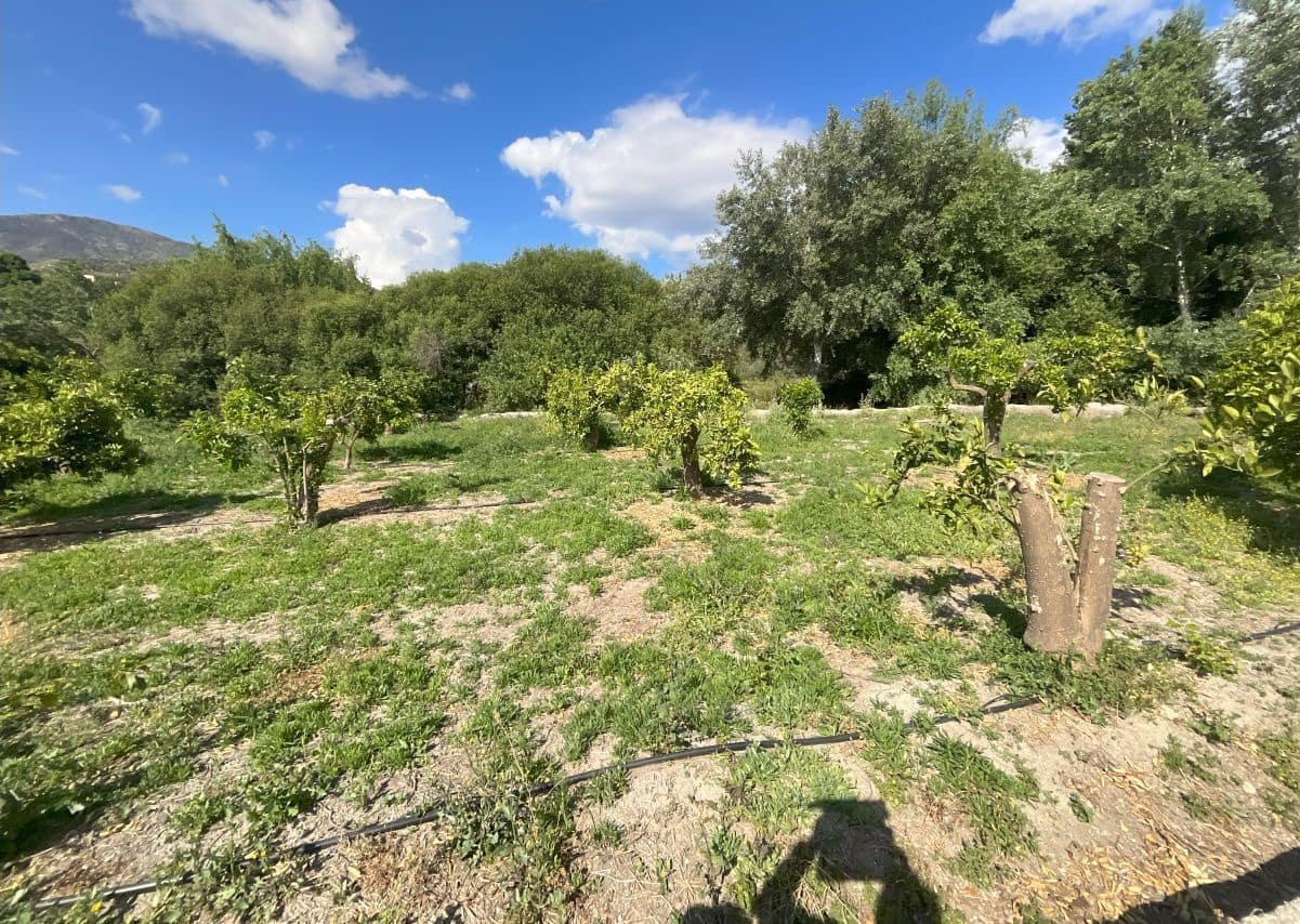 Undeveloped Land for sale in Restabal - € 16,900 (Ref: 9588081)