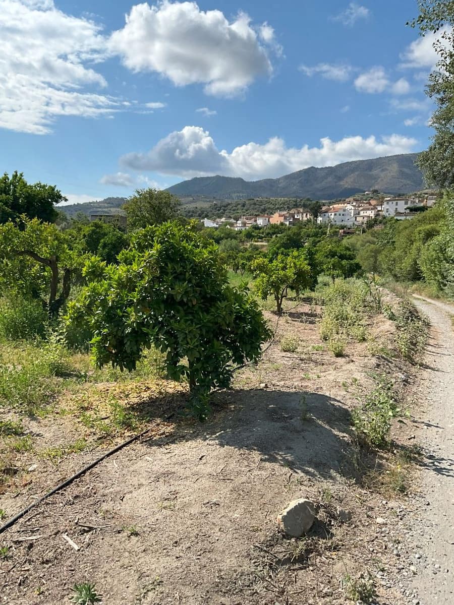 Undeveloped Land for sale in Restabal - € 16,900 (Ref: 9588081)