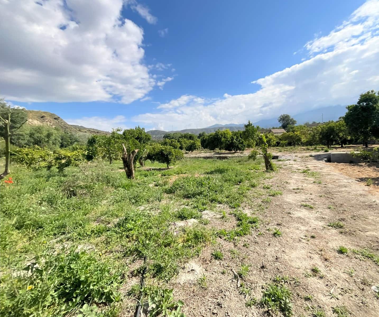 Undeveloped Land for sale in Restabal - € 16,900 (Ref: 9588081)