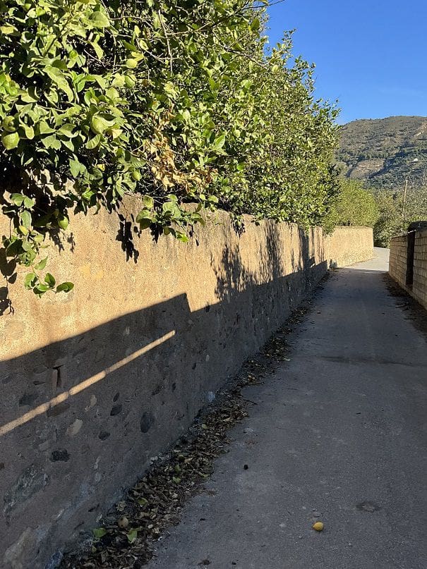 Rakentamaton maa myytävänä paikassa Beznar - 42 000 € (Ref: 9588085)