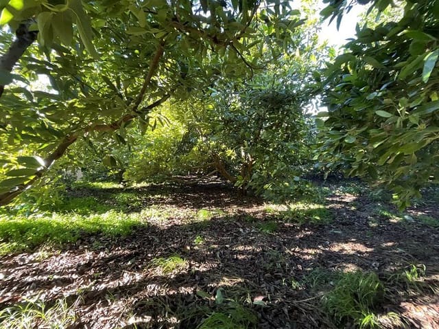 Grond te koop in Beznar, Lecrín - € 42.000 (Ref: 9588085)