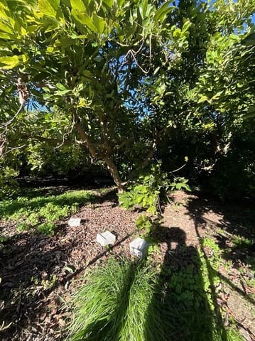 Grond te koop in Beznar, Lecrín - € 42.000 (Ref: 9588085)