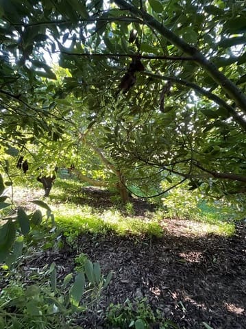 Grond te koop in Beznar, Lecrín - € 42.000 (Ref: 9588085)