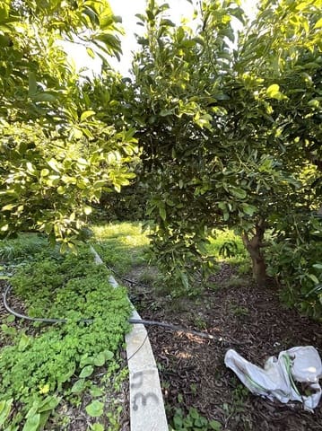 Grond te koop in Beznar, Lecrín - € 42.000 (Ref: 9588085)