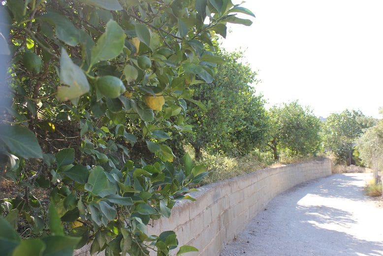 Undeveloped Land for sale in Murchas - € 65,000 (Ref: 9588087)