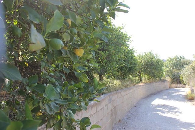 Grunde uden byggetilladelser til salg i Murchas, Lecrín - € 65.000 (Ref: 9588087)