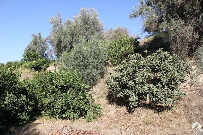 Undeveloped Land for sale in Murchas - € 65,000 (Ref: 9588087)