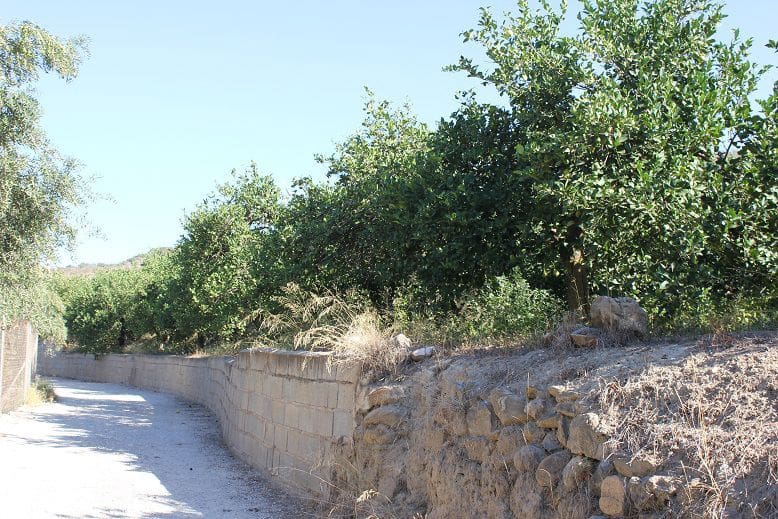 Undeveloped Land for sale in Murchas - € 65,000 (Ref: 9588087)