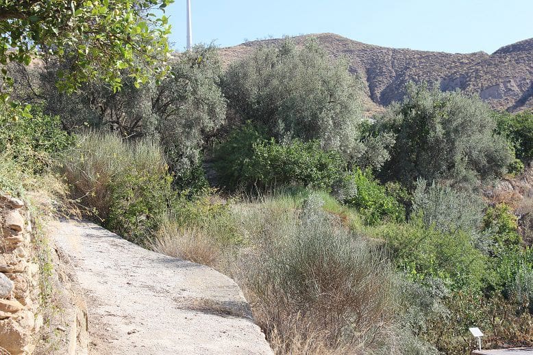 Undeveloped Land for sale in Murchas - € 65,000 (Ref: 9588087)