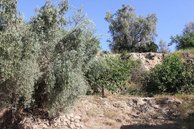 Grunde uden byggetilladelser til salg i Murchas, Lecrín - € 65.000 (Ref: 9588087)