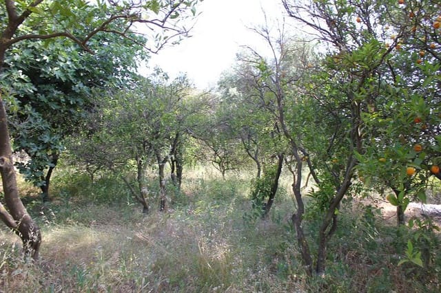 Grond te koop in Restabal, El Valle - € 29.900 (Ref: 9588088)