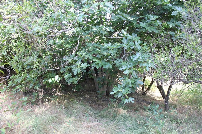 Grond te koop in Restabal - € 29.900 (Ref: 9588088)