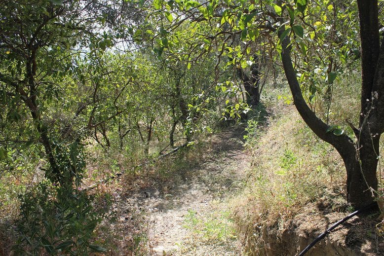 Grond te koop in Restabal - € 29.900 (Ref: 9588088)