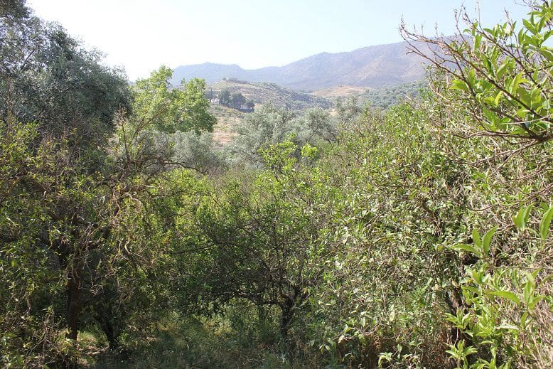 Grond te koop in Restabal - € 29.900 (Ref: 9588088)