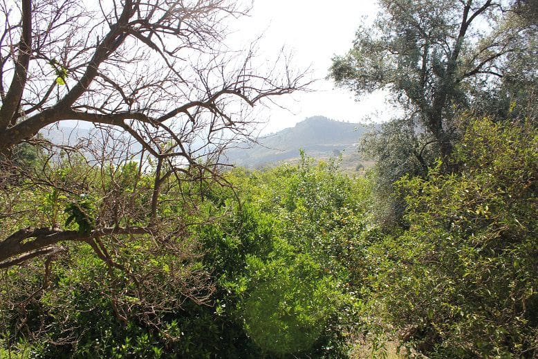 Grond te koop in Restabal - € 29.900 (Ref: 9588088)