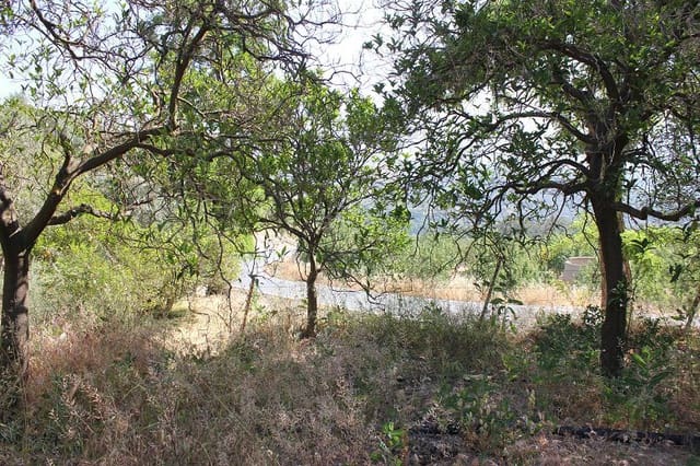 Grond te koop in Restabal, El Valle - € 29.900 (Ref: 9588088)