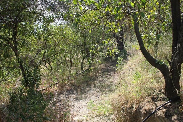 Grond te koop in Restabal, El Valle - € 29.900 (Ref: 9588088)