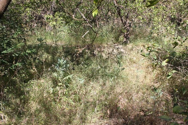 Grond te koop in Restabal, El Valle - € 29.900 (Ref: 9588088)