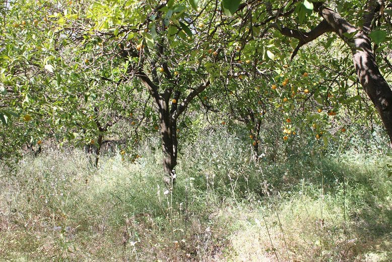 Grond te koop in Restabal - € 29.900 (Ref: 9588088)