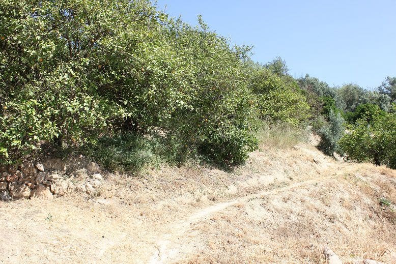 Grond te koop in Restabal - € 29.900 (Ref: 9588088)