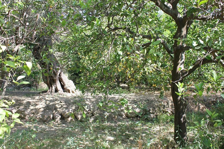 Grond te koop in Restabal - € 29.900 (Ref: 9588088)