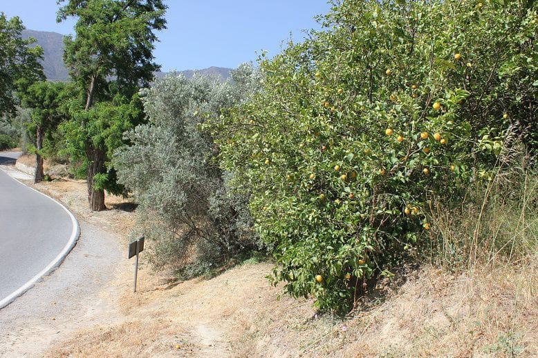 Grond te koop in Restabal - € 29.900 (Ref: 9588088)