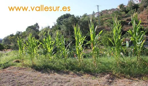 Landgrundstück zu verkaufen in Restabal - 20.000 € (Ref: 9588089)