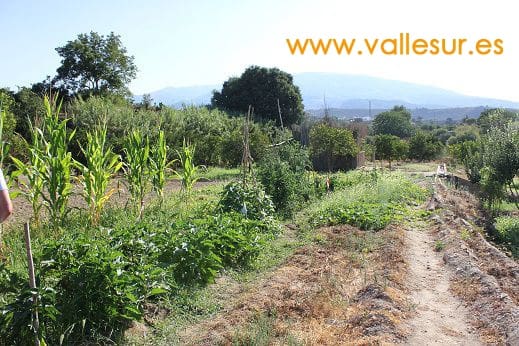 Landgrundstück zu verkaufen in Restabal - 20.000 € (Ref: 9588089)