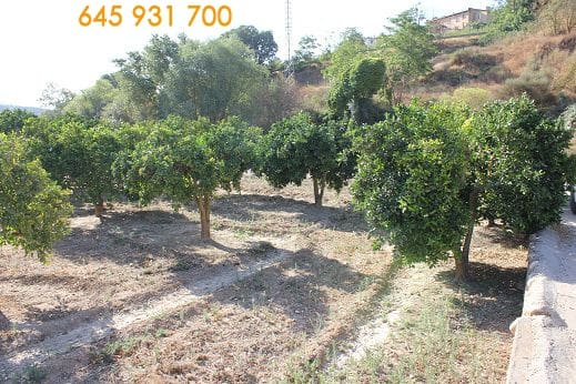 Landgrundstück zu verkaufen in Restabal, El Valle - 20.000 € (Ref: 9588089)