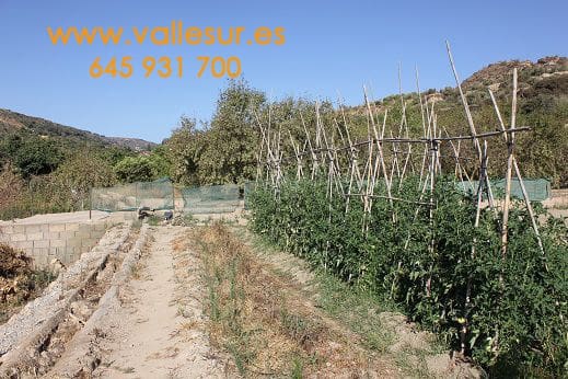 Landgrundstück zu verkaufen in Restabal, El Valle - 20.000 € (Ref: 9588089)